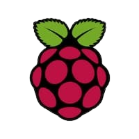 raspby-removebg-preview