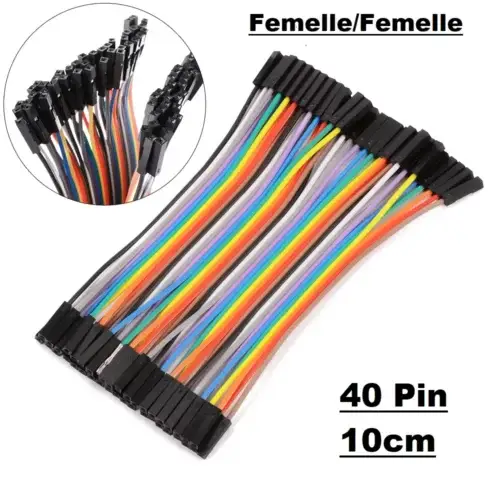 40 Fils jumpers Femelle/Femelle 10cm