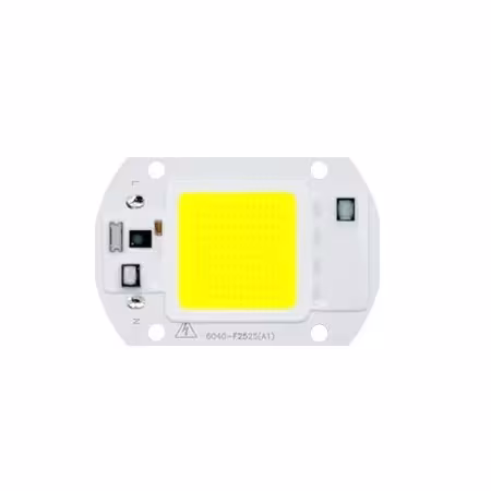 Module LED 50W 220V pour projecteur COLD WHITE